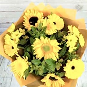 Sunflower sunshine